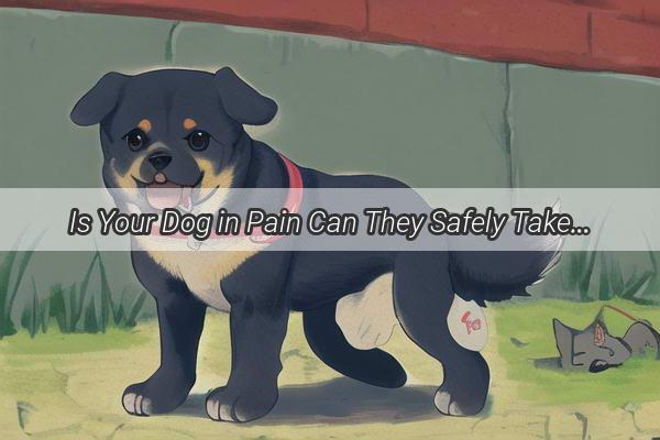 Is Your Dog in Pain Can They Safely Take Waist Pain Capsules